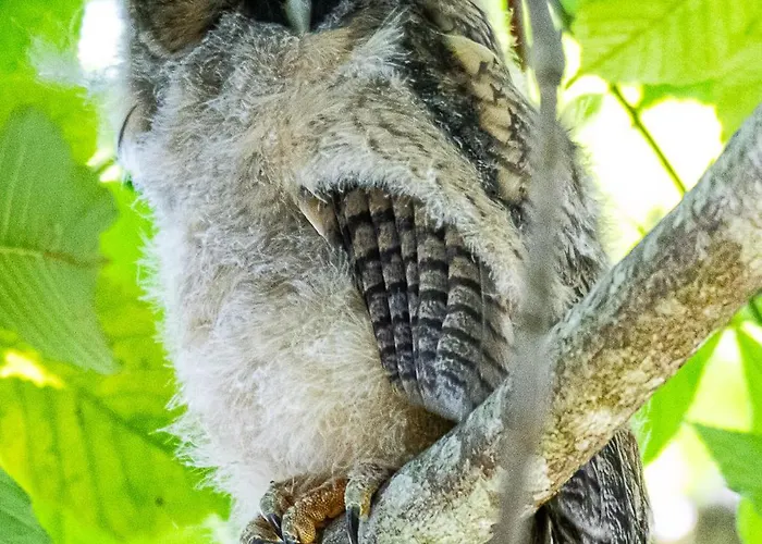 Apartment Gite Saint-Maurice-pres-Pionsat